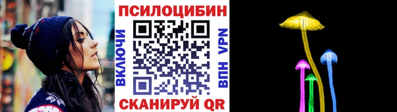 купить  цена  Островной  Псилоцибиновые грибы мицелий 