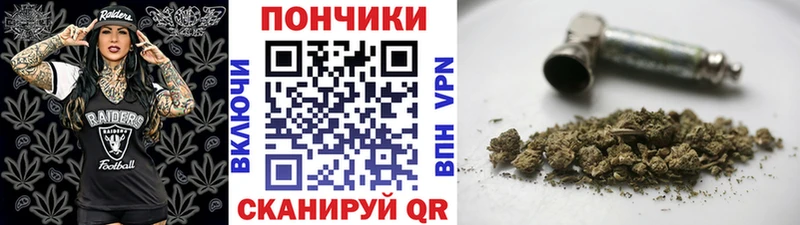 купить наркотики сайты  Островной  Марихуана SATIVA & INDICA 